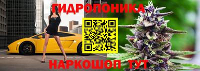 альфа пвп Аргун