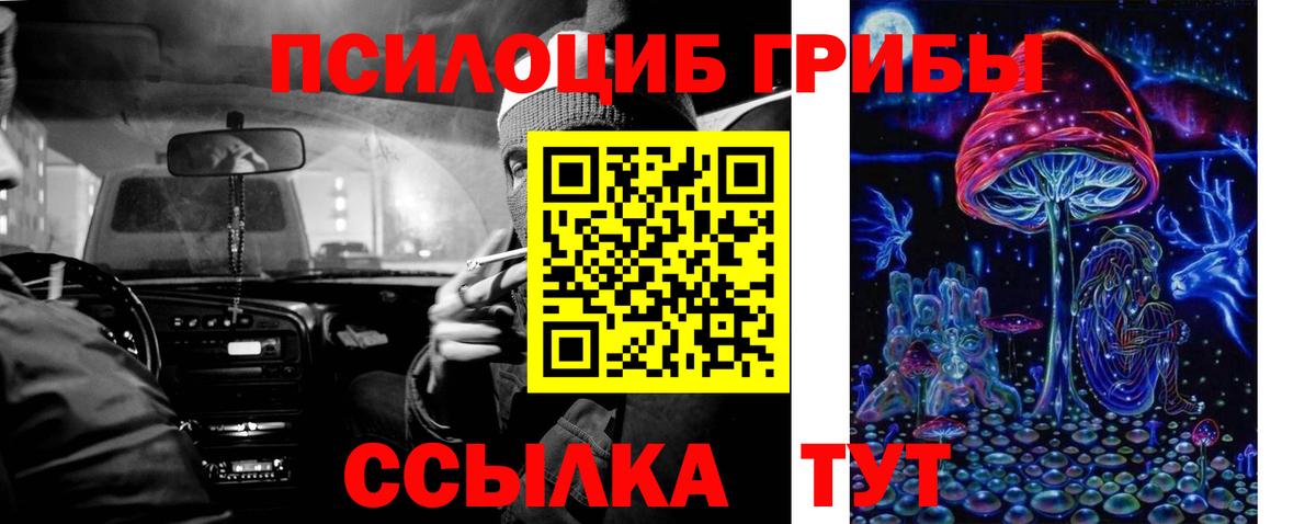 Псилоцибиновые грибы мицелий Ачхой-Мартан